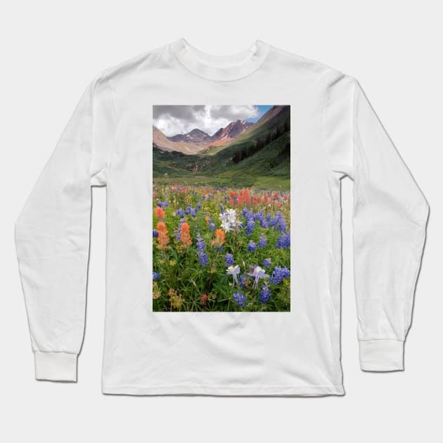 Alpine flowers in Rustler's Gulch, USA (C006/6000) Long Sleeve T-Shirt by SciencePhoto